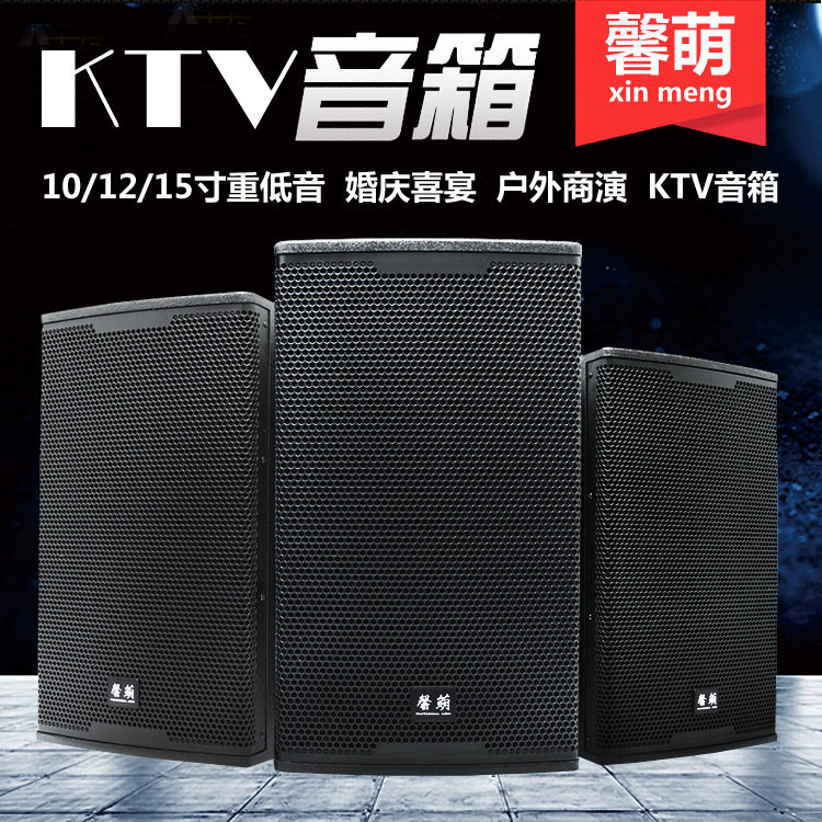 12寸15寸会议室商业活动家庭ktv音响家庭影院专业卡拉OK音箱功放
