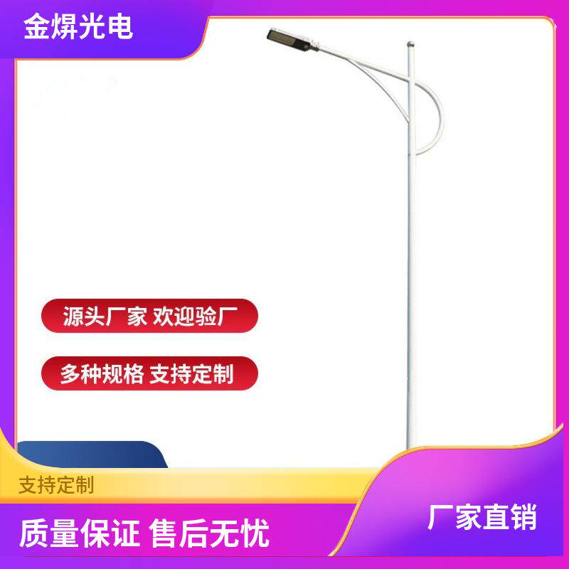 市政工程LED路灯220V6米8米10米户外防水超亮新农村高杆市电路灯