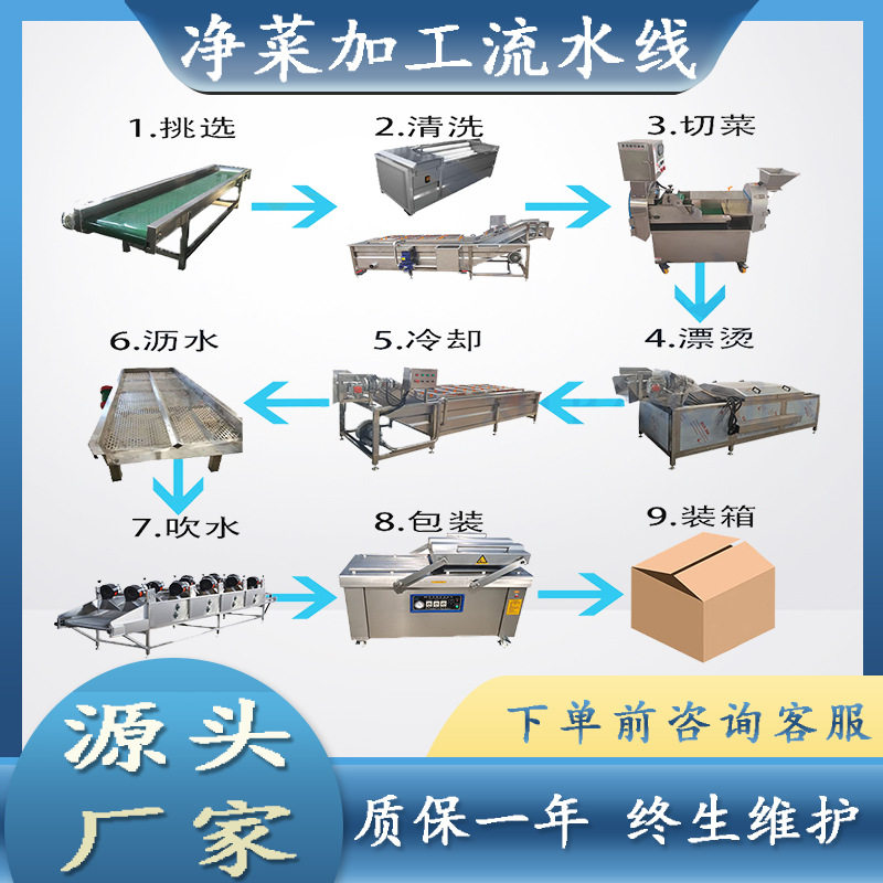 净菜成套清洗线商用柠檬高压喷淋式气泡清洗机柑橘气泡清洗设备