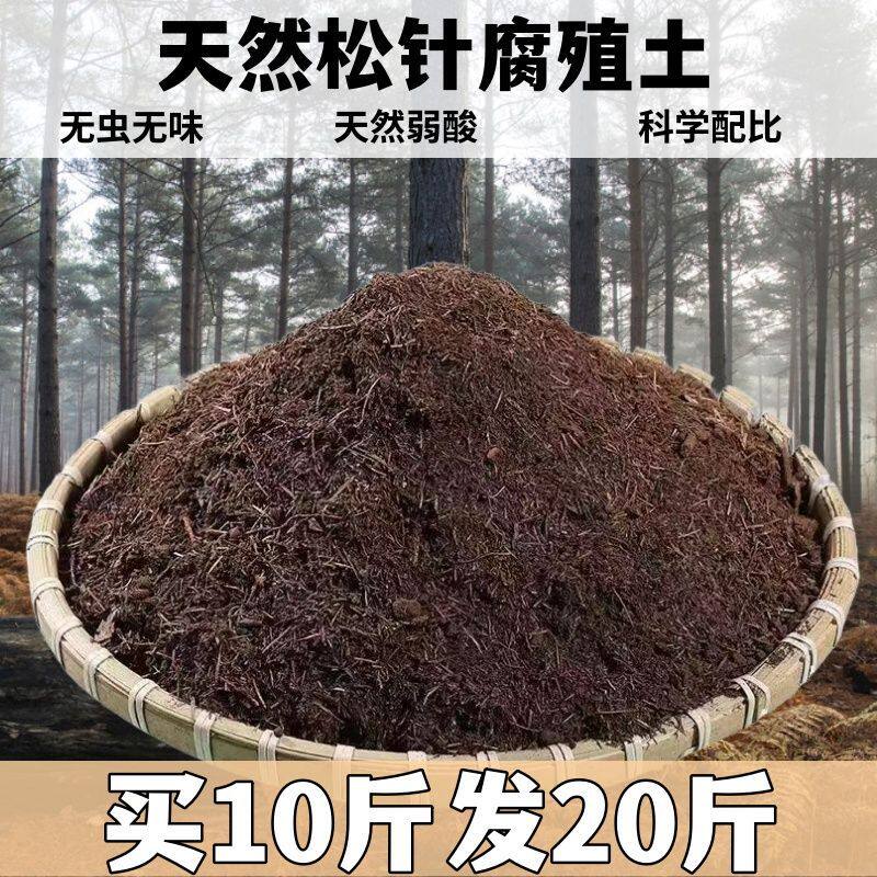 松针腐殖土酸性有机土通用透气兰花君子兰茶花阳台专用土厂家直销