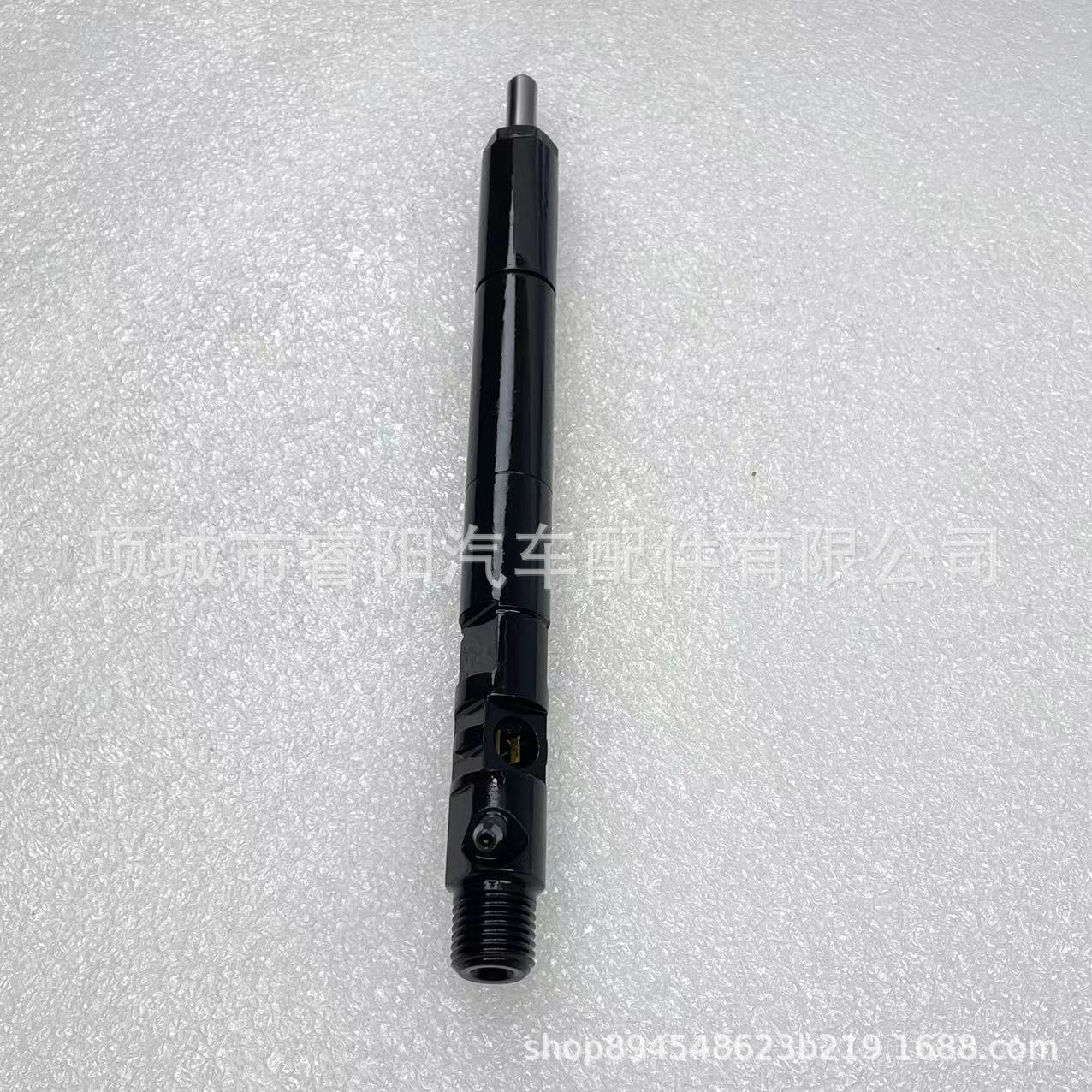 德尔福双龙柴油喷油器A6640