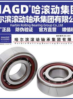 哈尔滨主轴配对轴承7200 7201 7202 7203 7204 7205 7206ACTAP5P4