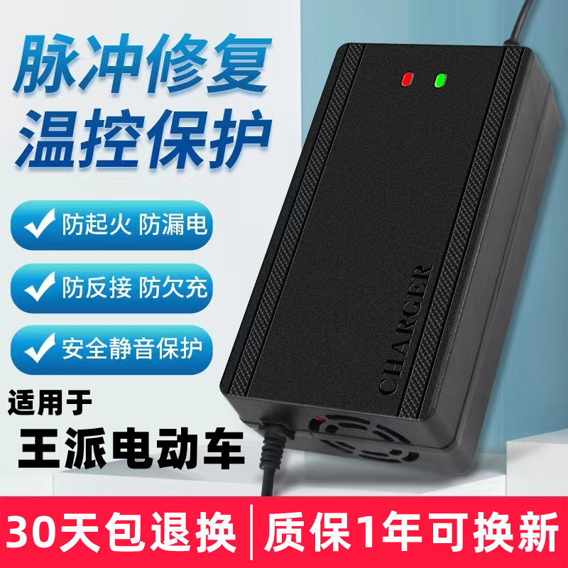 王派电动车电瓶充电器48V12AH60V20AH72V30AH电车三轮车原装通用