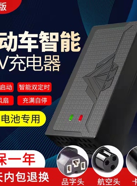 24伏电动车铅酸电瓶车充电器24V12AH20AH轮椅车玩具车海豚车通用