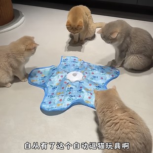 宠物玩具电动逗猫棒小猫自嗨解闷躲藏罩可充电猫咪捕猎游戏罩