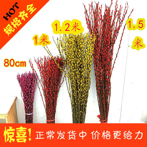 银柳客厅室内年宵花卉