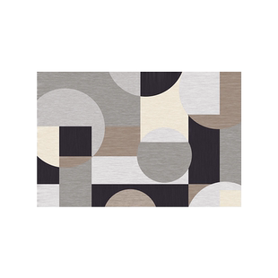 北欧进门入户门地垫入户门垫门口脚垫子入门耐脏防滑家用客厅地毯