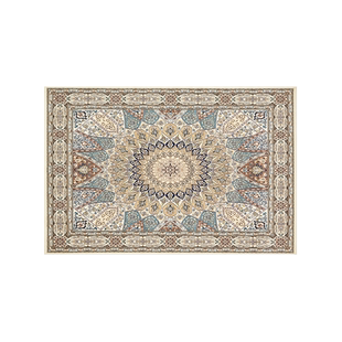 进门入户门地垫入户门垫玄关门口客厅地毯个性入门吸水防滑脚垫子