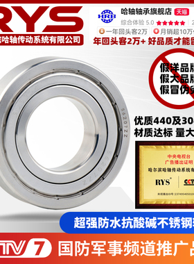 RYS 不锈钢轴承 6206 6207 6208 6209 6210 6211 ZZ  304材质