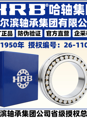 HRB NN 3056 3060 K/P5/P4 W33 哈尔滨双排圆柱滚子机床主轴轴承