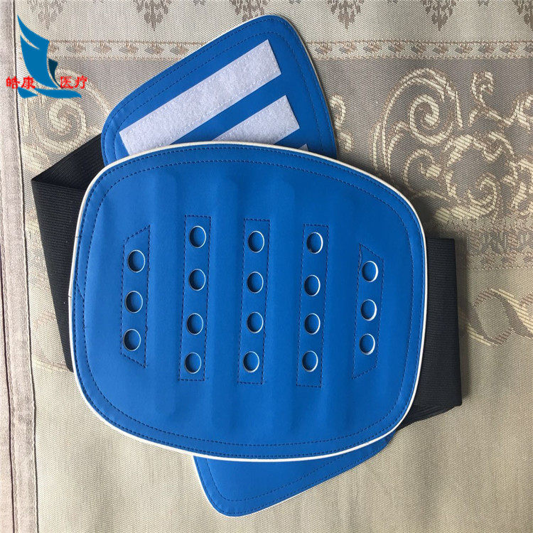 弹力腰围冬夏两用护腰带钢板腰托腰部固定带绿叶男女腰椎术后护具