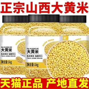 大黄米糯米包粽子专用粘米黄米凉糕年糕正宗东北大黄米粽子黏黄米