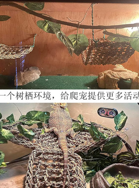 爬宠吊床藤蔓套装攀爬藤条