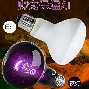 爬宠加热灯泡蜥蜴乌龟陆龟晒背UVA日灯保温取暖夜灯鬃狮蜥加热灯