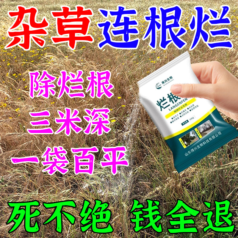 杂草专用杂草连烂一扫根光烂粉不长草强专用草连杂根杂草烂用神器