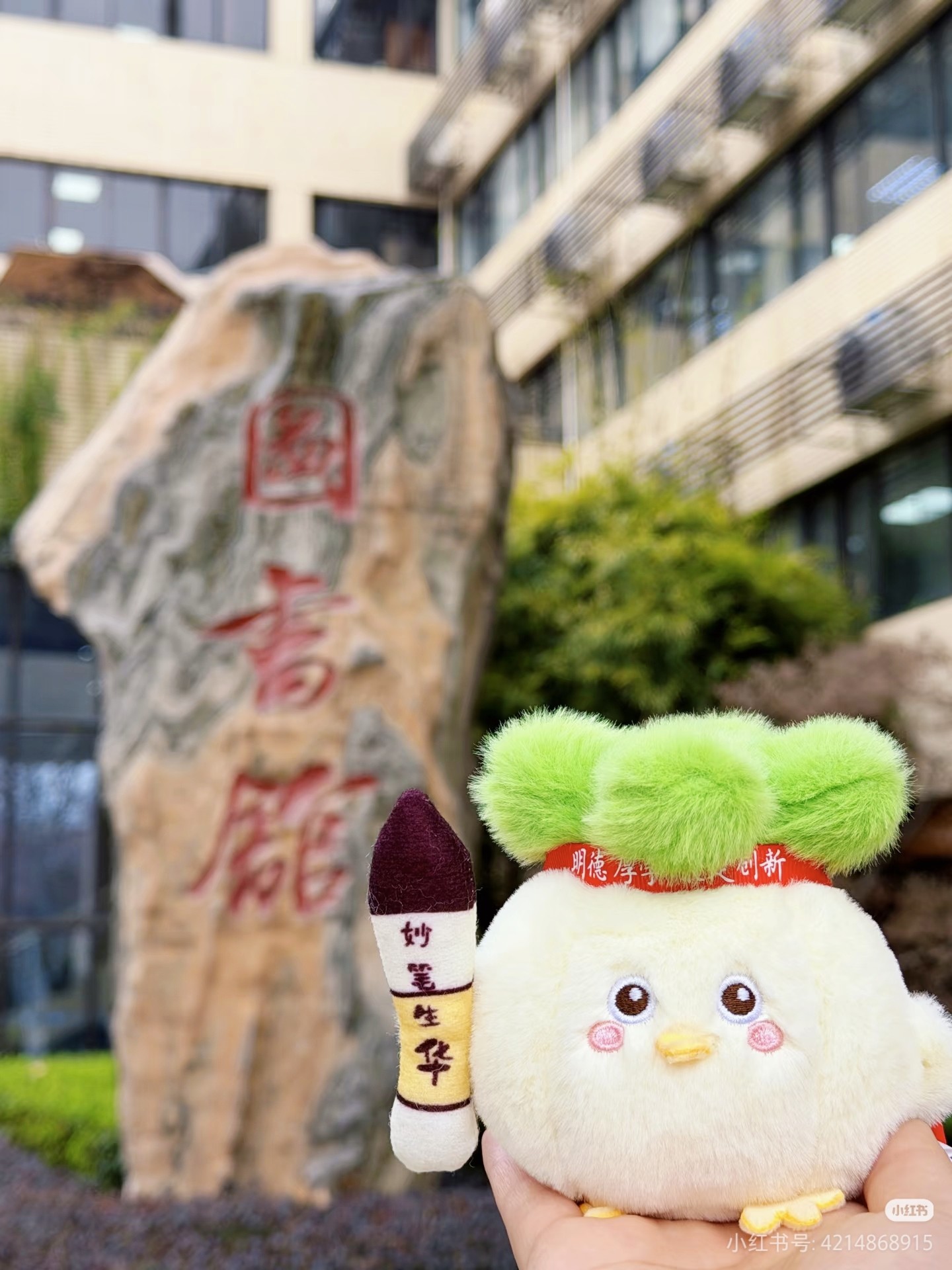 HUST华科毛绒发声玩具玩偶蒜鸟公仔都不容易包包挂件钥匙链[正品] - 实物图