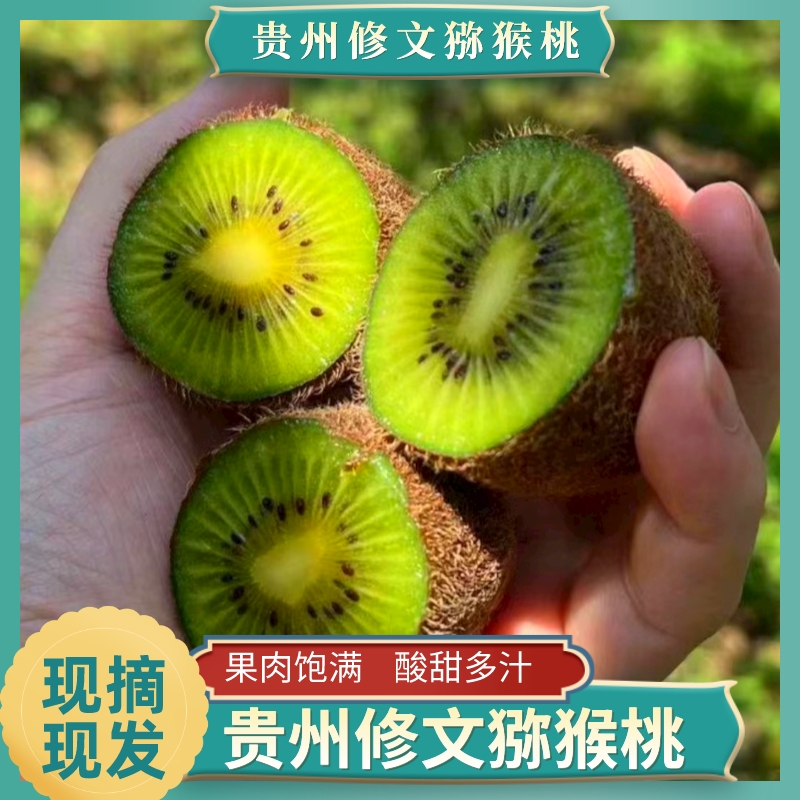 贵长猕猴桃贵州修文贵长