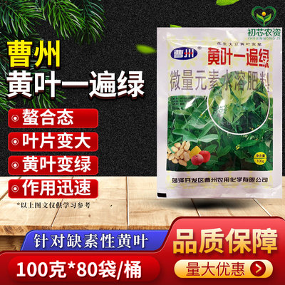 曹州黄叶一遍绿花生黄叶