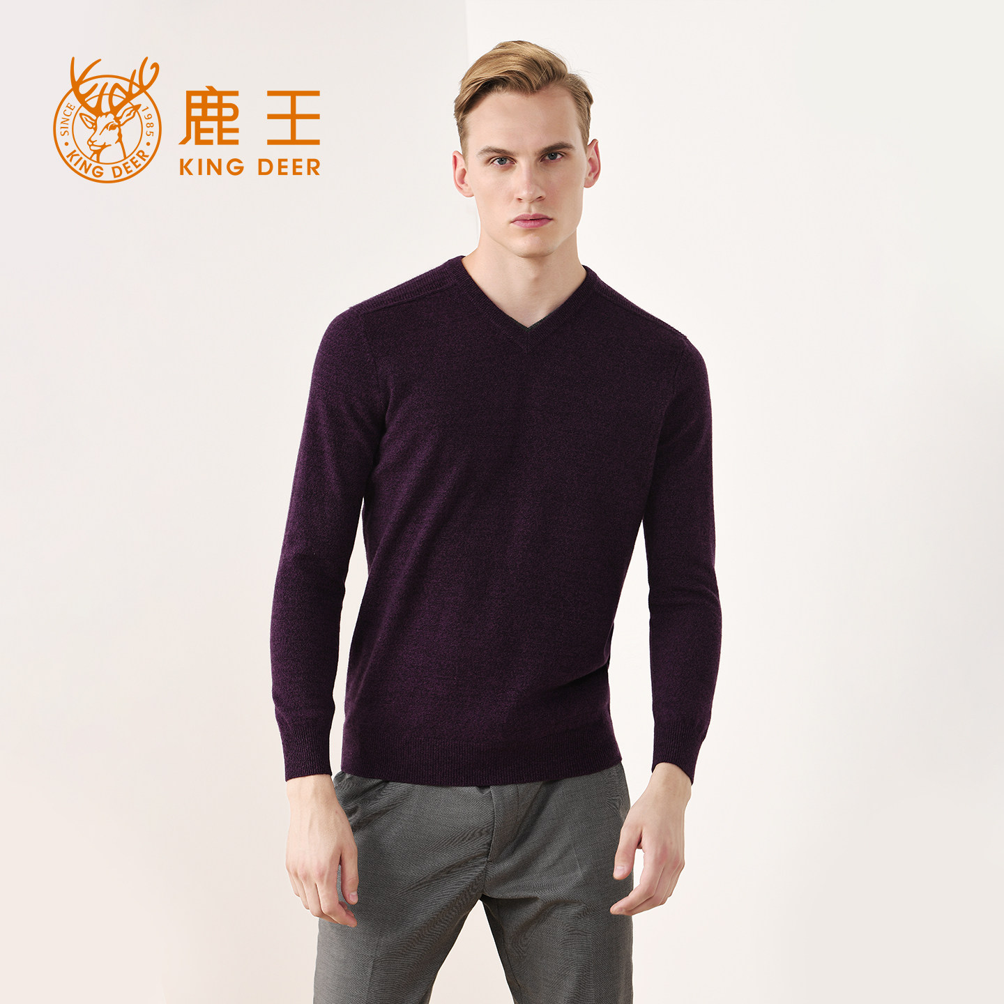 鹿王羊绒衫男100纯羊绒新款男士山羊绒V领百搭休闲宽松套头衫
