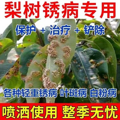 梨树锈病专用药梨树专用杀菌剂梨树病菌清枯叶病根腐病芽腐病正品