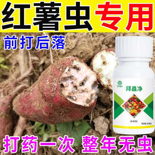 红薯专用药红薯地下害虫红薯防蛀虫药祛黄叶病毒病茎线虫病生物肥
