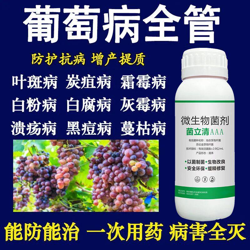 葡萄病专用药病全治葡萄专用杀菌剂病虫防害炭疽病白粉病烂果霜霉