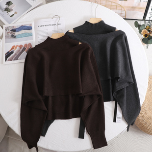 两件套女2025秋冬新款 艾 针织衫 设计感显瘦高领背心蝙蝠袖 时尚