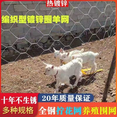 佳琪镀锌铁丝网围栏拧花网养鸡养鸭防鼠防蛇小孔养殖网果园护栏