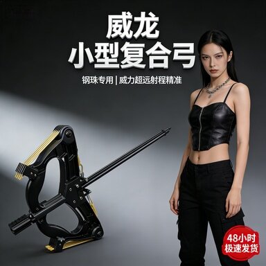 复合弓新成年人专用大威力高精度