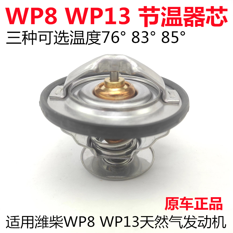 德龙解放潍柴国六天然气节温器芯