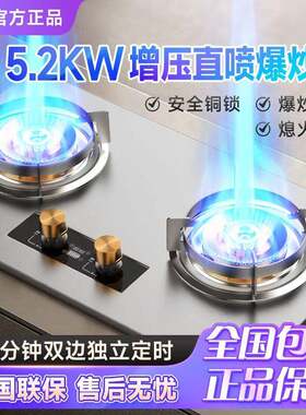 新飞猛火双灶台嵌两用燃气灶