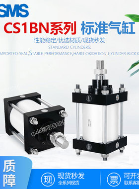 重型大推力标准气缸CDS1BN/CS1FN/CS1DN/CS1TN/CS1LN定制CS1CN