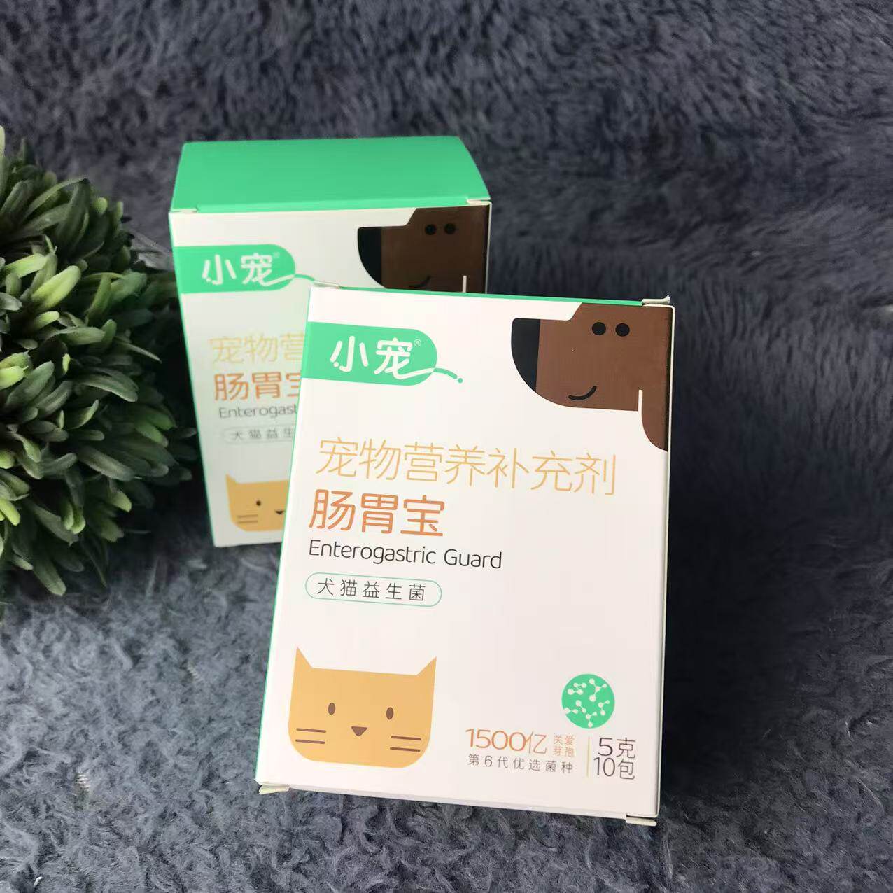 小宠肠胃宝益生菌第六代狗狗猫幼猫益生菌