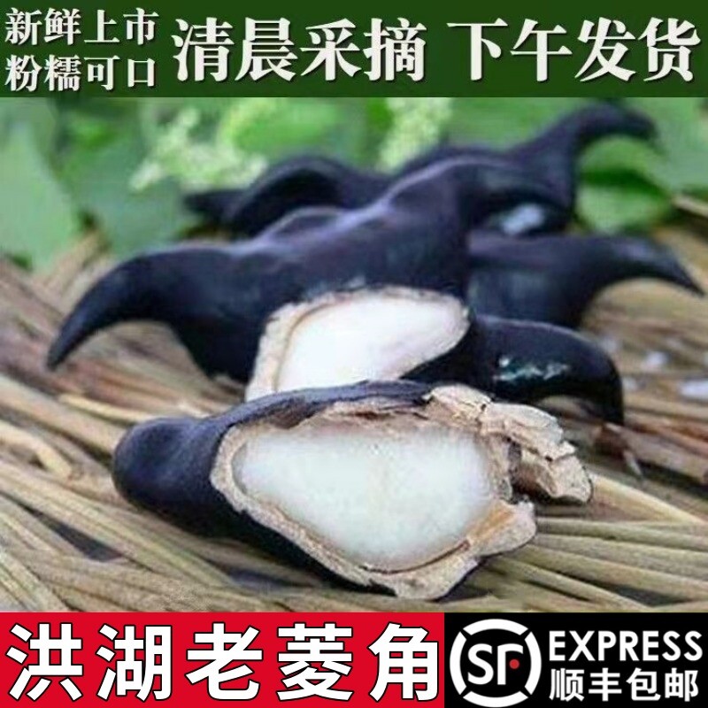 洪湖菱角新鲜老菱角现摘农家特产湖北菱角新鲜生棱角凌角莲角蔬菜