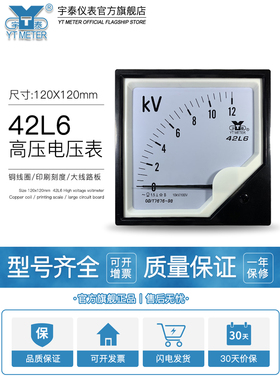 42L6高压电压表12Kv 10Kv/100V 20Kv 25Kv 35Kv 40Kv交流电压表