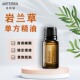 多特瑞官网正版 现货岩兰草单方精油15ml超值涂抹按摩香薰植物
