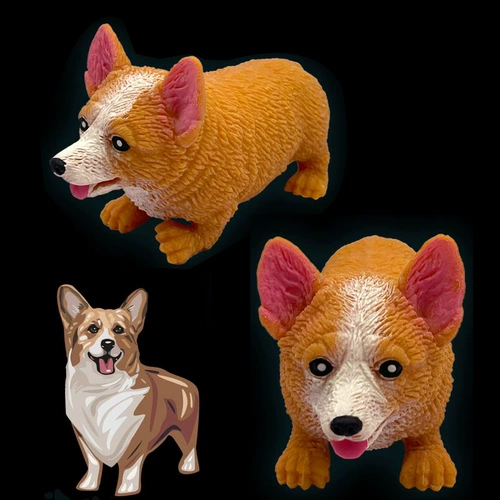 Творческая декомпрессия Corgi Dog Lala Стреляет в Haba Dog