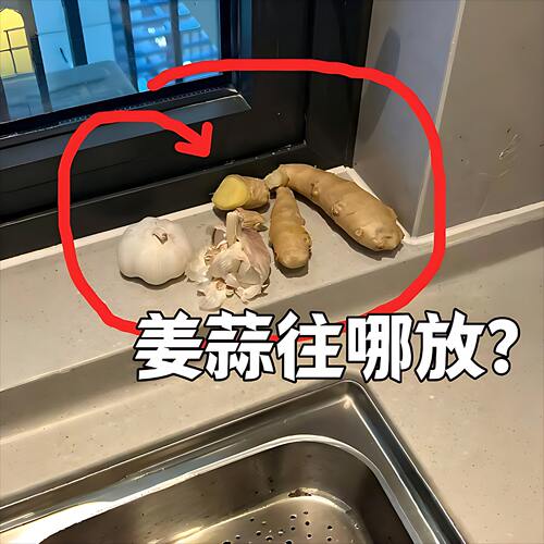 厨房吸盘葱姜蒜收纳盒置物架壁挂生姜大蒜收纳神器多层管道清洁棒