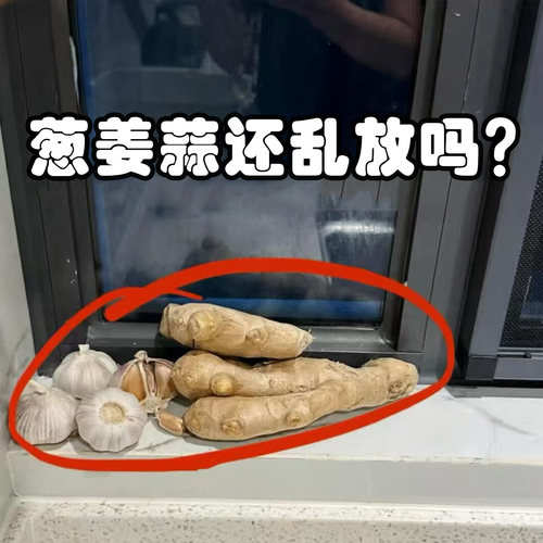 葱姜蒜收纳盒壁挂吸盘收纳筐免打孔大蒜生姜挂篮调料品龙头置物架