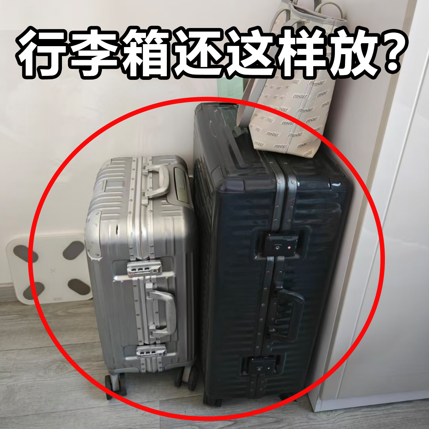 行李箱防尘罩万能全包无纺布旅行拉杆箱收纳保护套防小拉车备菜盘