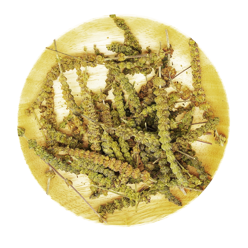 荆芥穗50-500克中药材包邮当季新货道地产区河北干荆芥土荆芥新鲜