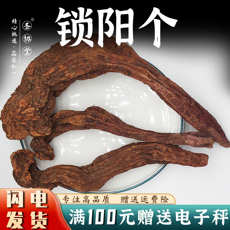 锁阳50-250克当季新货包邮整根切片泡酒料另售肉苁蓉淫羊藿菟丝子
