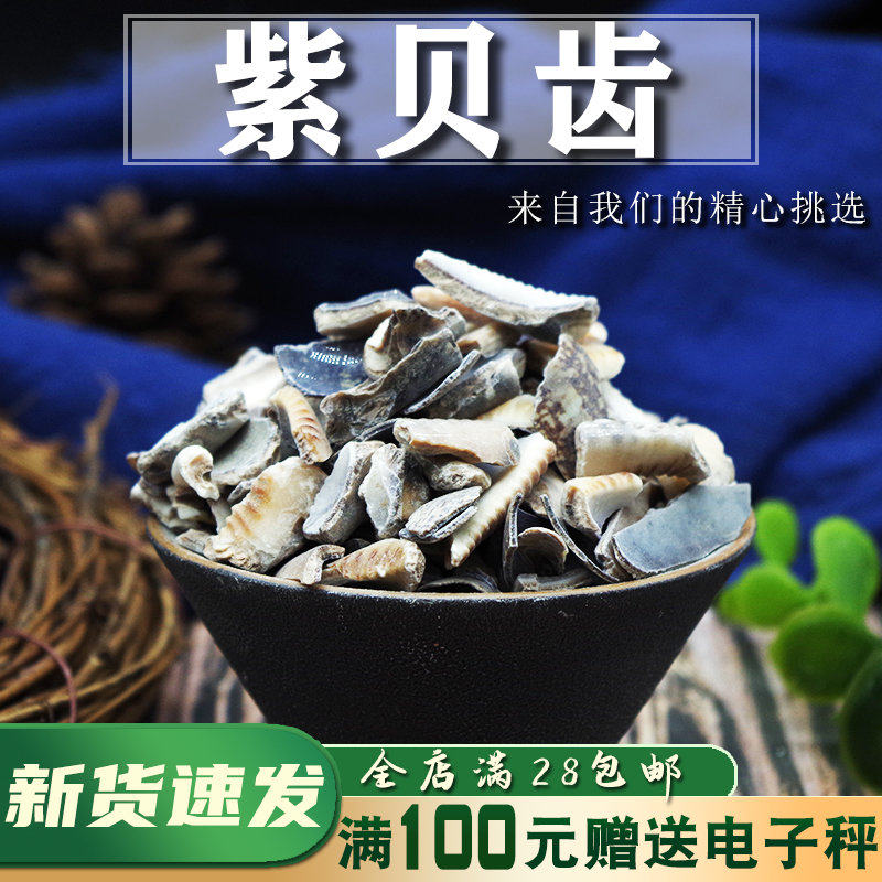 紫贝齿 50g 纯齿 另售紫贝全壳 文贝 南蛇牙齿狗支螺非野生中药材