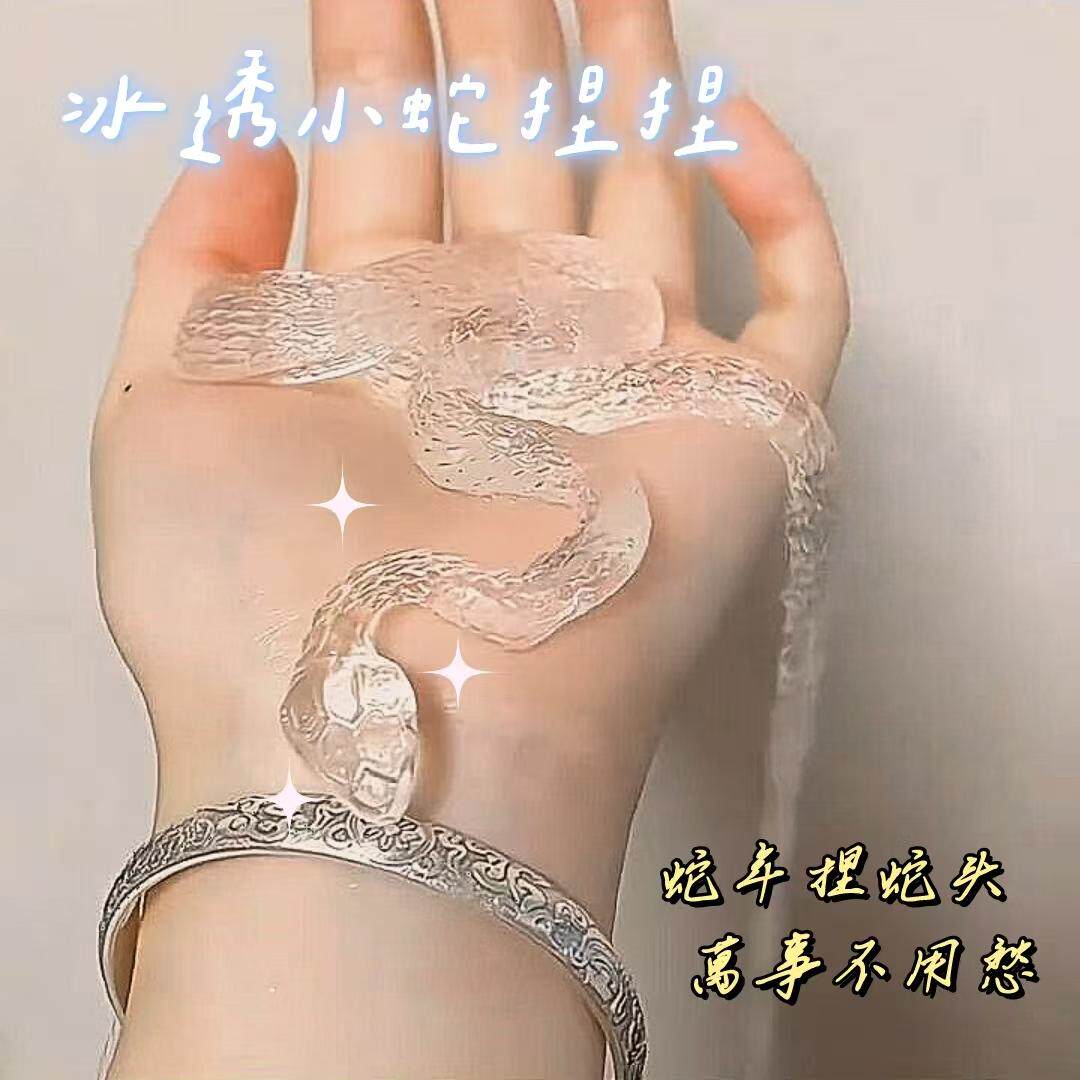 爆款小蛇捏捏乐冰透超亮仿真灵蛇捏捏创意解压发泄玩具透明灵蛇