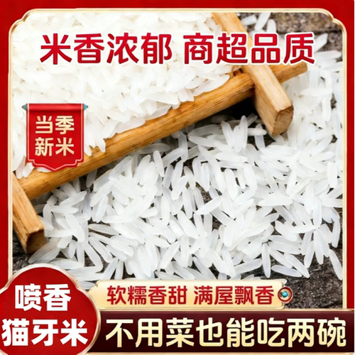 正宗长粒香米象牙米猫牙米
