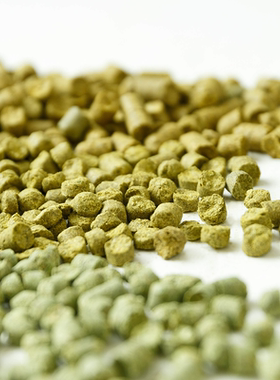 萨兹Saaz捷克进口颗粒啤酒花Hops精酿自酿啤酒原料香花