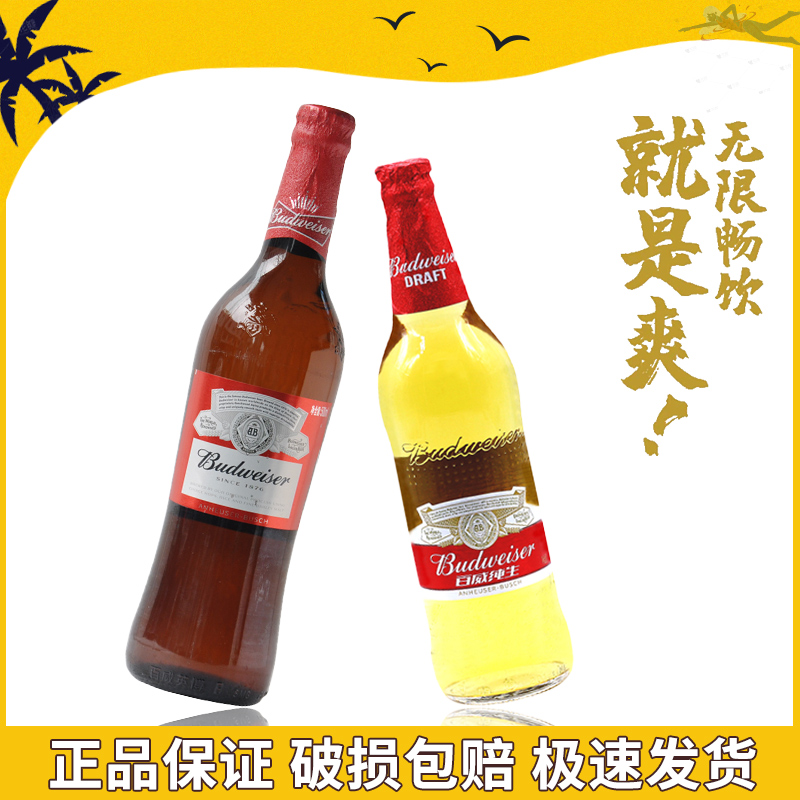百威啤酒 百威纯生 醇正啤酒500ml*6瓶装黄啤小麦熟啤酒正品包邮