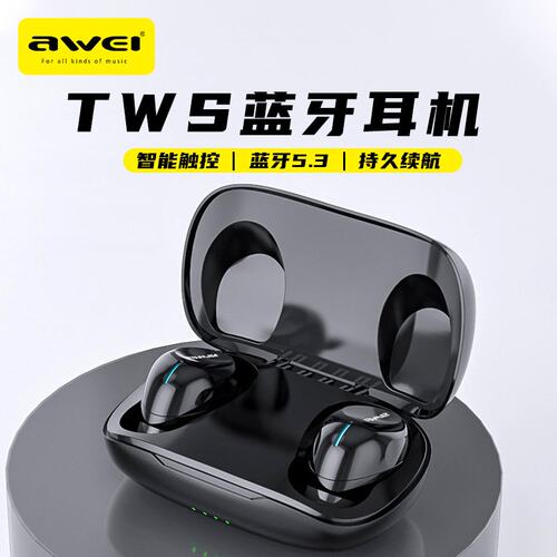 HiFi音质蓝牙5.3耳机 智能HiFi迷你触碰厂家私 Awei/用维 T20