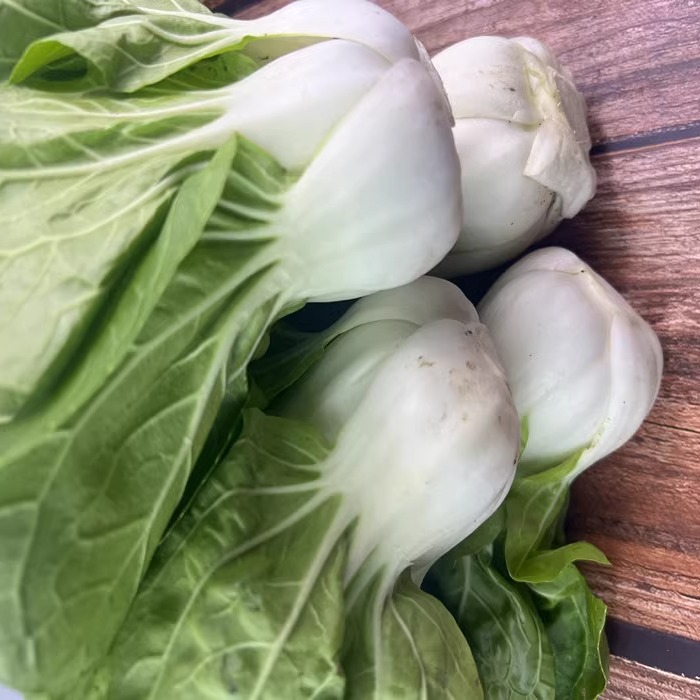 蔬菜苔青菜台农家菜心