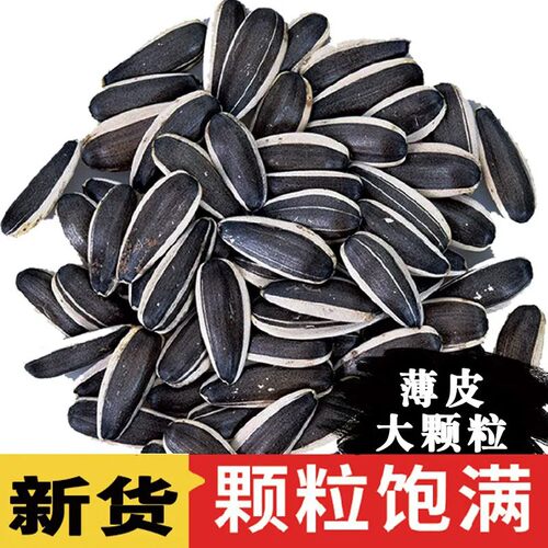 内蒙古新货薄皮葵花籽5斤特大粒